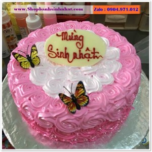 Bánh Sinh Nhật Sữa Tươi - AA333